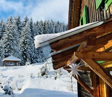 Sankt Lambrecht House | Zirbitz Hütte mit Sauna und Kamin