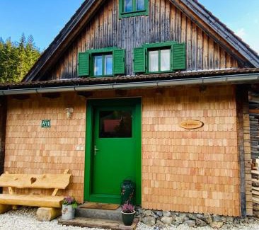 Sankt Lambrecht House | Zirbitz Hütte mit Sauna und Kamin