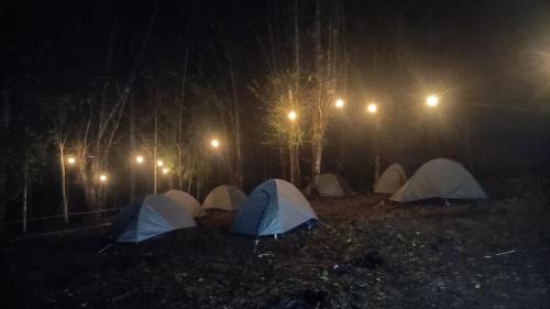 Itanagar Other | Ziro Festival Camping