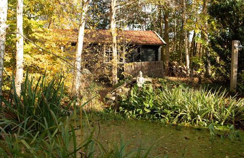 't Haantje House | Zizania