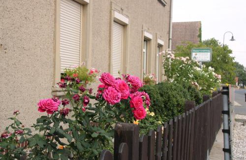 Cavertitz Apartment | Zum Alten König