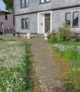 Damscheid Bed & Breakfast | Zum Alten Pfarrhaus