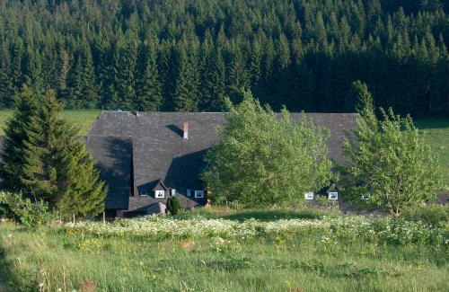 Waldau Hotel | ZUR TRAUBE Schwarzwaldhotel & Restaurant am Titisee