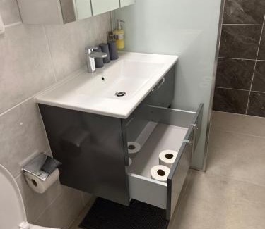 Oelsnitz Apartment | Zwillinge Ferienwohnung am Markt