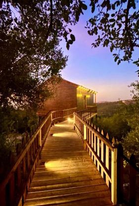 اكواخ سفاري السياحية