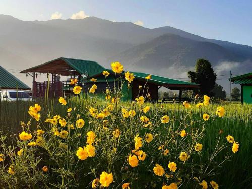 ชมนาโฮมสเตย์บ้านนาคำ