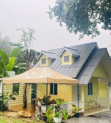 ปางสูงเฮาส์ pangsung house บ้านระเบียงดาว