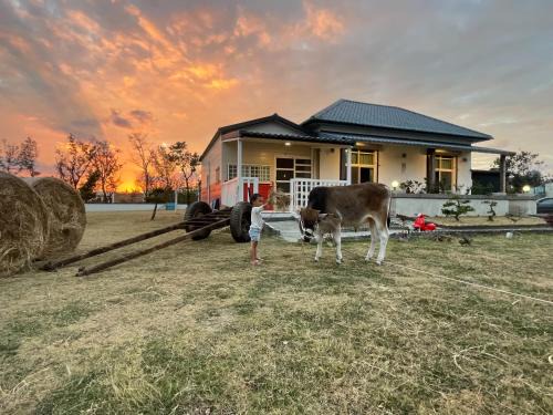 墾丁阿可休閒農莊