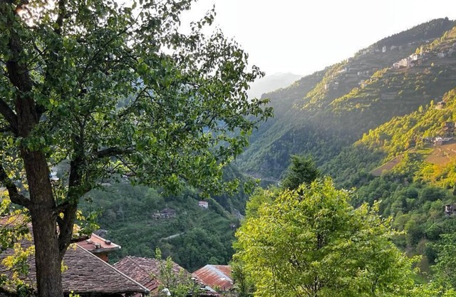 كوخ في اوزنجول Uzungöl