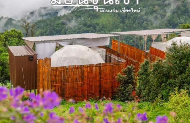 ม่อนขุนเขา