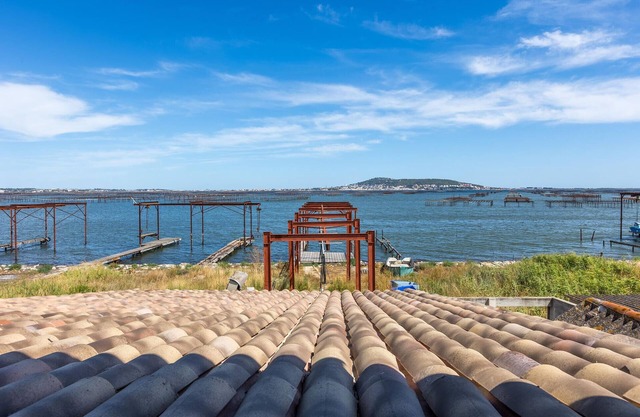 1 bedroom amazing home in Loupian