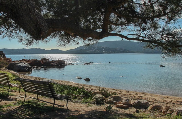 1 bedroom apartment - beach on foot