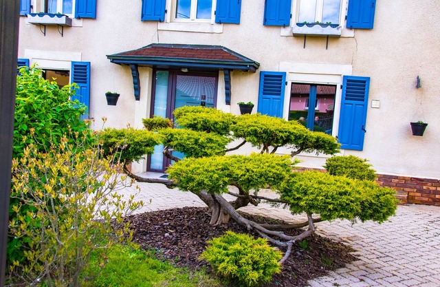 1 Bedroom Bed & Breakfast In La Baffe