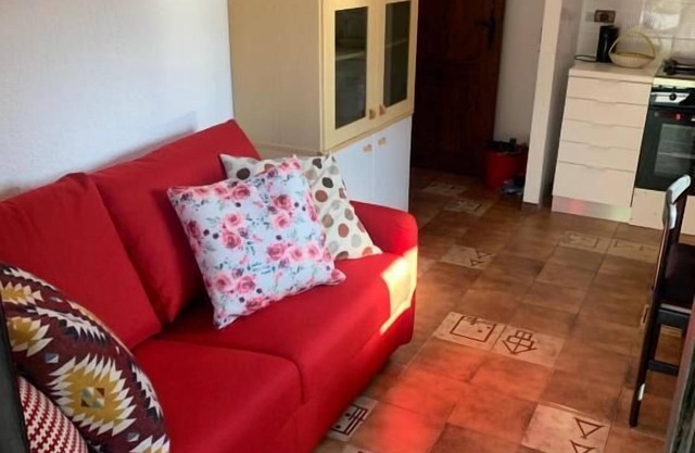 1 bedroom splendid garden view