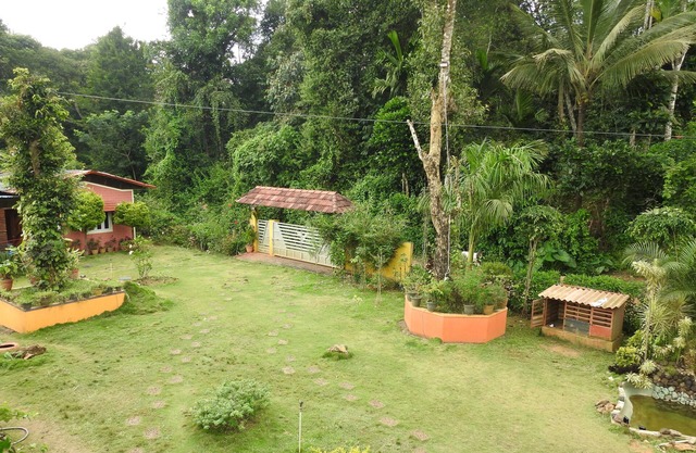1 Duplex Tree House, 1 Tree House, 2 Cottages and 1 Family villa