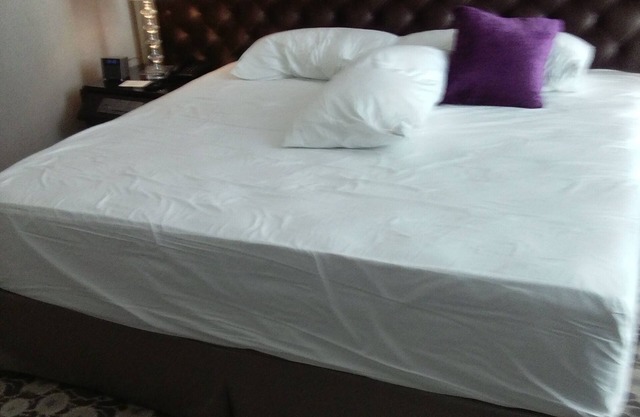 1 King Bed Apartment.