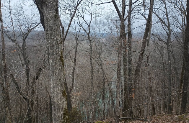 >1 Mile from Monroe Lake, 24 minutes away from Indiana University