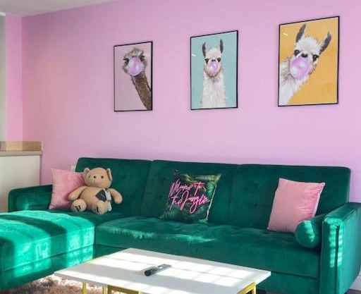 #1 Most Viral Pink House w Ball Pit