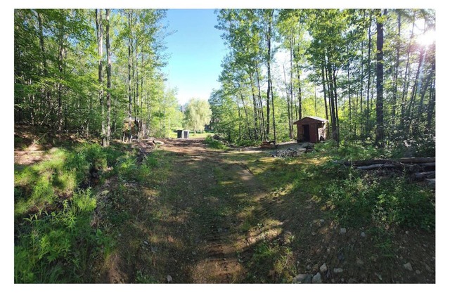 1 of 2 Cozy Cabins on Sloaping Forested Land