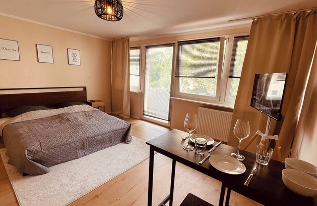 1 Zimmer Wohnung Nahe Sanaklinikum Balkon Netflix