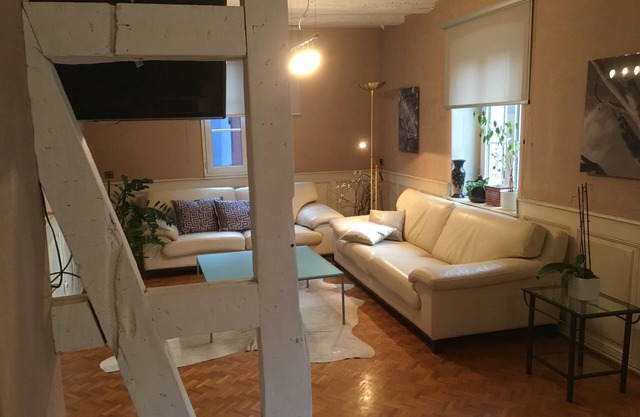 120m2 cozy duplex in farmhouse between Strasbourg and Haguenau