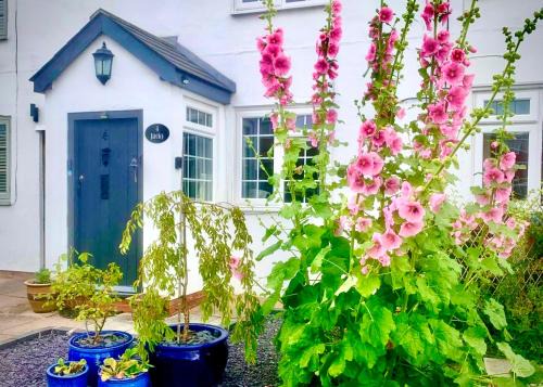 18th Century Cottage with Stunning Farmland Views