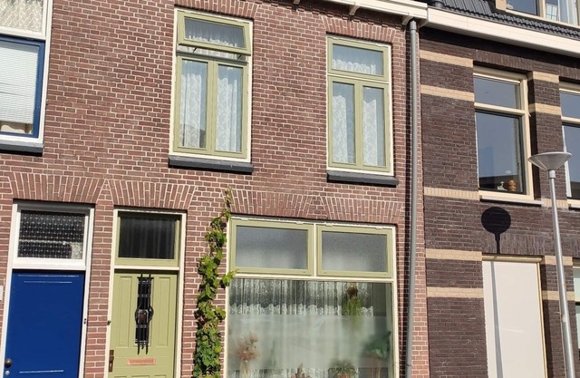 1920s house (18m long!) on park and near center