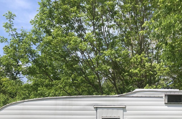 1960s Camper on a Farm w Fire Pit & Water View