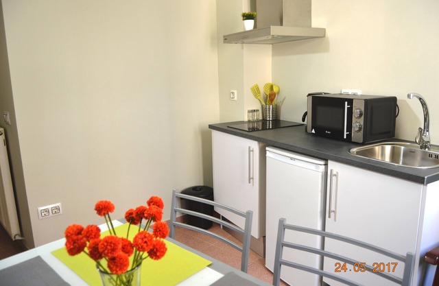 1B Apartment in the center of Figueres