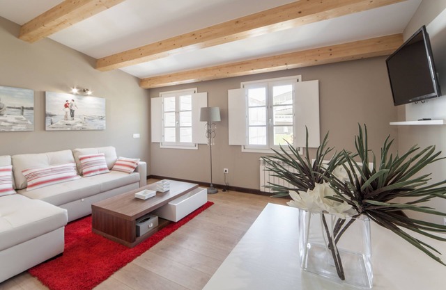 2 bedroom apartment -150 m. cathedral - garden, terrace, wifi, elevator - P3