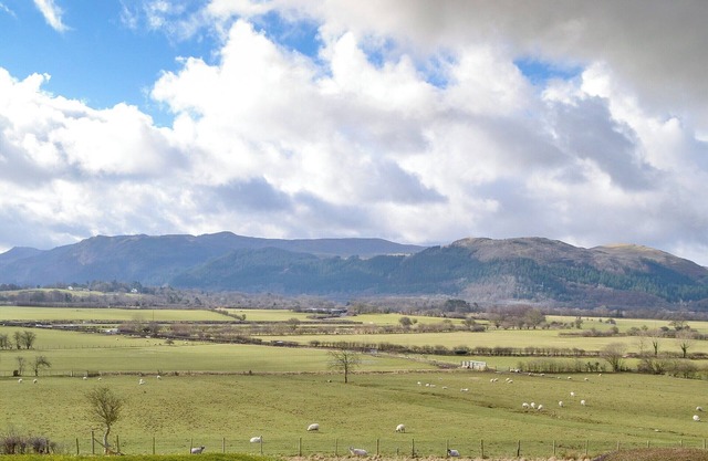 2 bedroom accommodation in Bassenthwaite, near Cockermouth