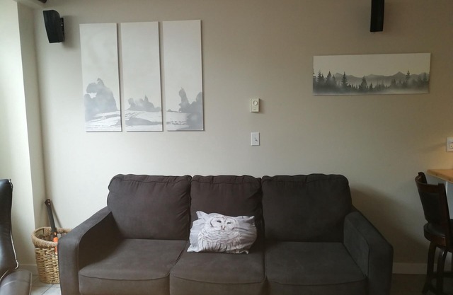 2 Bedroom Condo Ski in/Ski Out