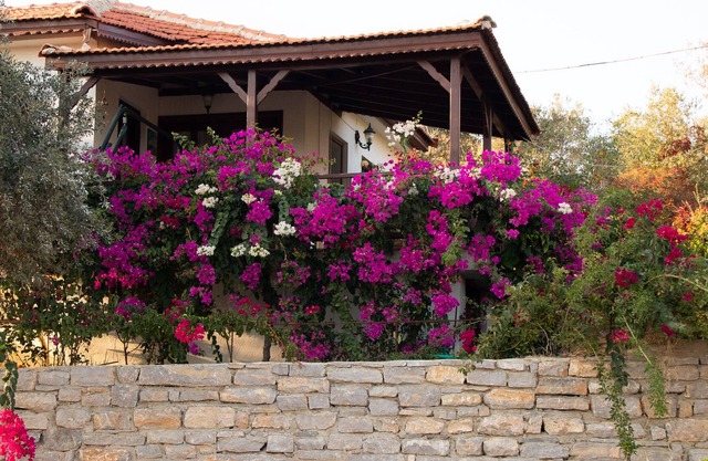 2 bedroom house with sea and nature views
