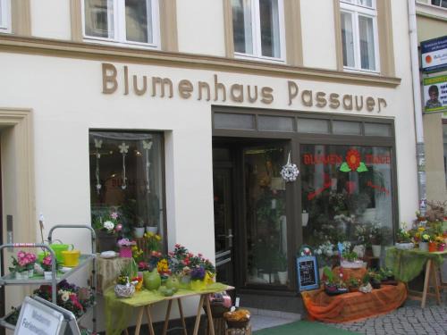 2 Ferienwohnungen mitten in der Innenstadt