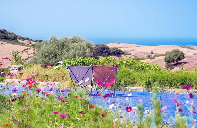 2 hectare estate, 25 pers, 12 bedrooms, sea view, pool, stove & cleaning
