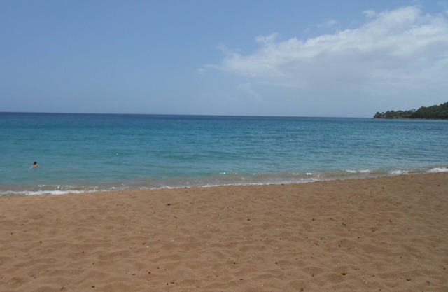 2 min from the beach warm welcome in this flowered and wooded park