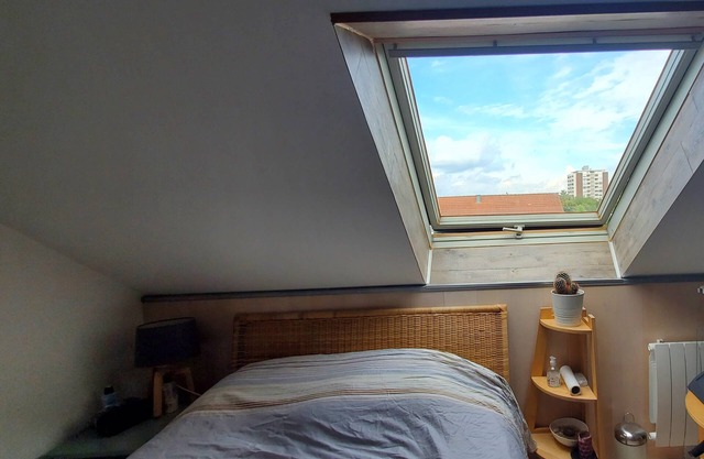 2-room duplex fully equipped Kehl quiet area Rhine balcony Black Forest view