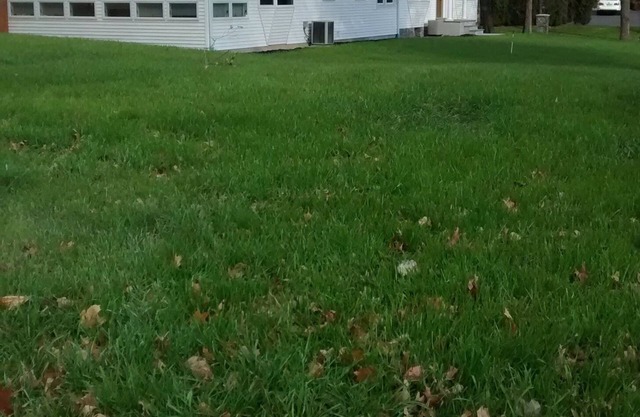 2BDR Suite w/Bathroom in Horsham, PA