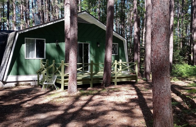 2bed Up North Cabin with hiking area -5 min to Au Sable river, orv trails & golf