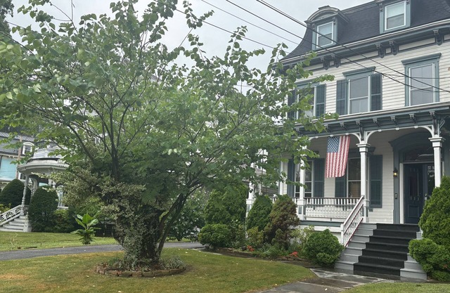 2Br Private Victorian Apartment in City location on half acre Sleeps 5