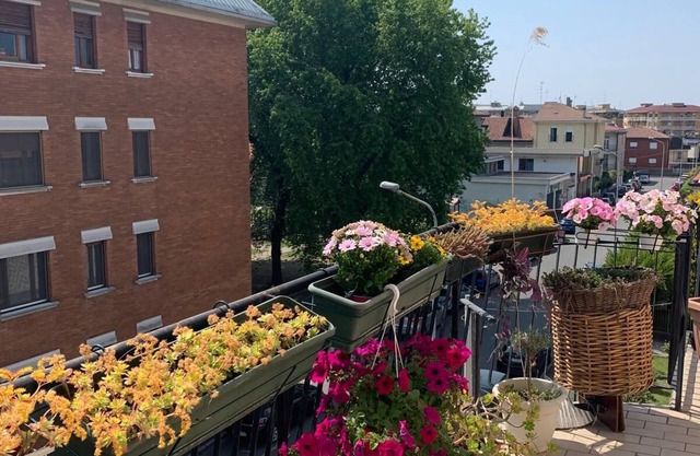 3 Bedroom Apartment in Novara