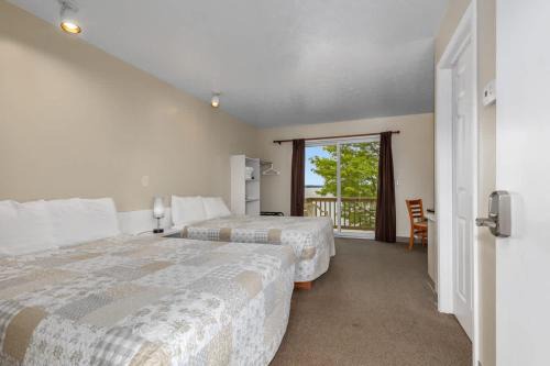 3 Comfort Combined Family Studios