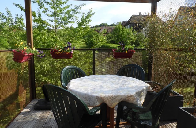 3 * cottage with terrace suspended in the heart of the vineyards