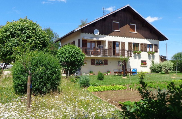 3 fir trees - 3 star apartment