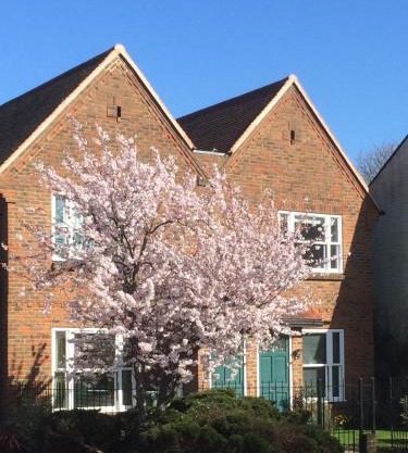 3 Summertown Court