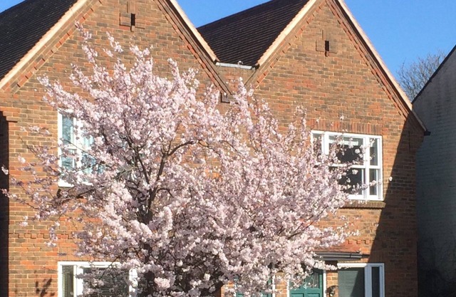 3 Summertown Court