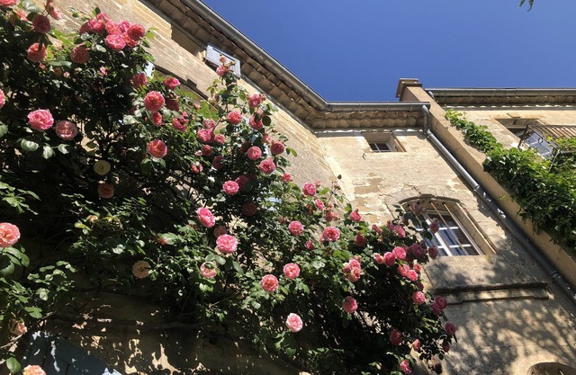 3kms from Uzès in 17th century residence, lovely 3-room apartment with poetic garden