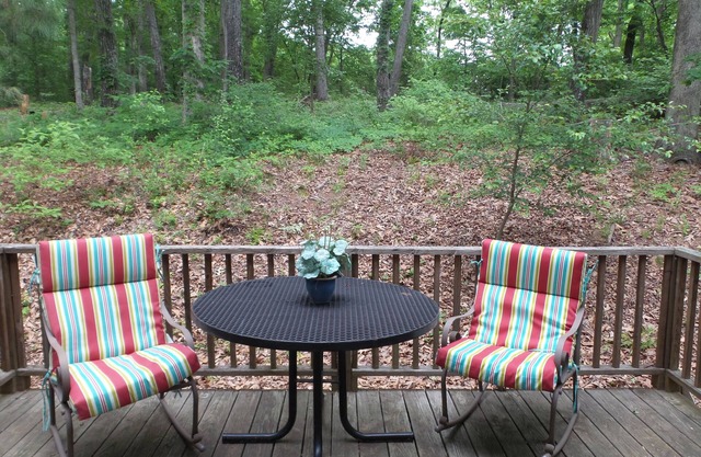4-5 Bedroom Furnished Close to Athens and I85/316