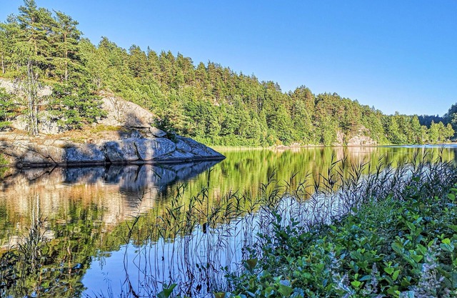 4 bedroom accommodation in Tvedestrand
