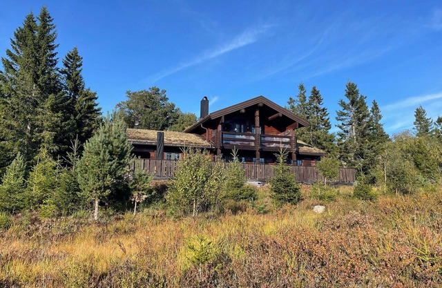 4 bedroom stunning home in Nissedal